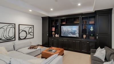 Lower Level Family entertainment room