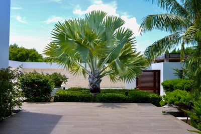 Luxury Villa Photo #12