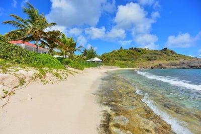 Luxury Villa Photo #6