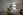 Bedroom 1 - Image 23