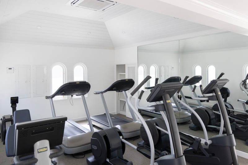 Old Trees 302 | La Mirage