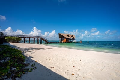 Luxury Villa Photo #57