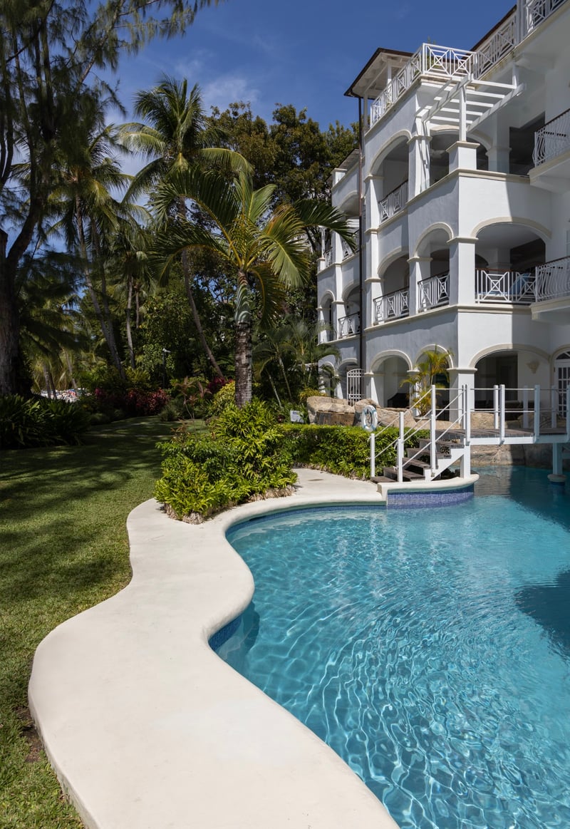 Old Trees 302 | La Mirage