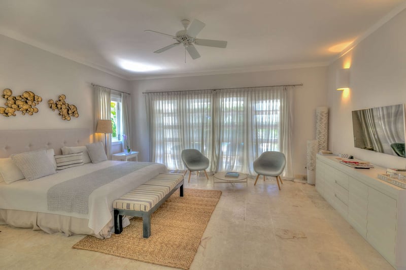 Arrecife EFG4 | Yellow Bear