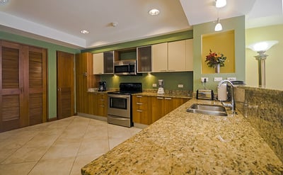 Luxury Villa Photo #4