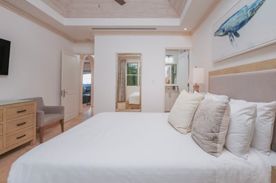 Luxury Villa Photo #29