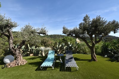 Luxury Villa Photo #6