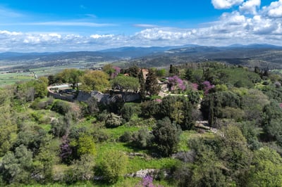 Luxury Villa Photo #4