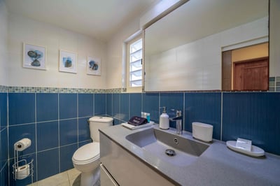 Luxury Villa Photo #24