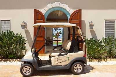 Luxury Villa Photo #25