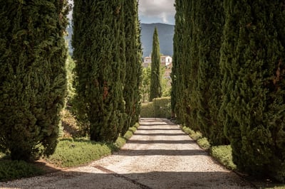 Luxury Villa Photo #8
