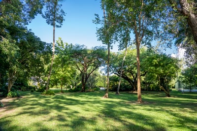 Luxury Villa Photo #13
