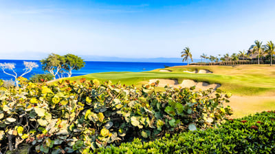 Luxury Villa Photo #30
