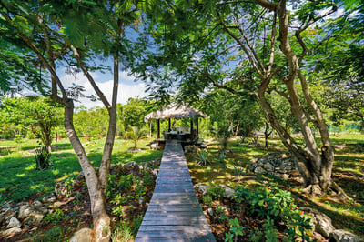 Luxury Villa Photo #35