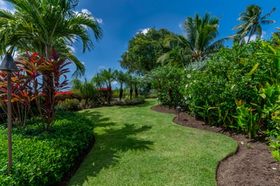Luxury Villa Photo #31