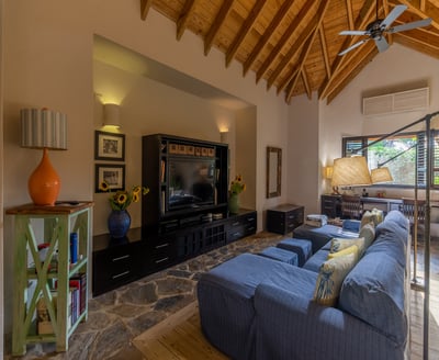 Luxury Villa Photo #50