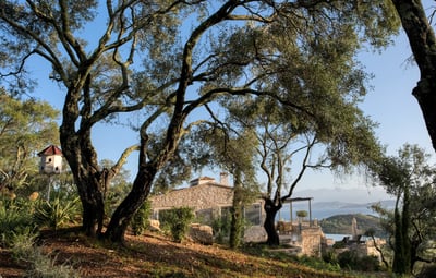 Luxury Villa Photo #12