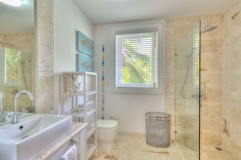 Arrecife EFG4 | Yellow Bear