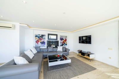 Luxury Villa Photo #11