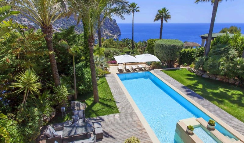 Palmeras de Mallorca