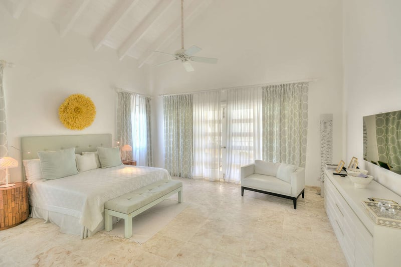 Arrecife EFG4 | Yellow Bear