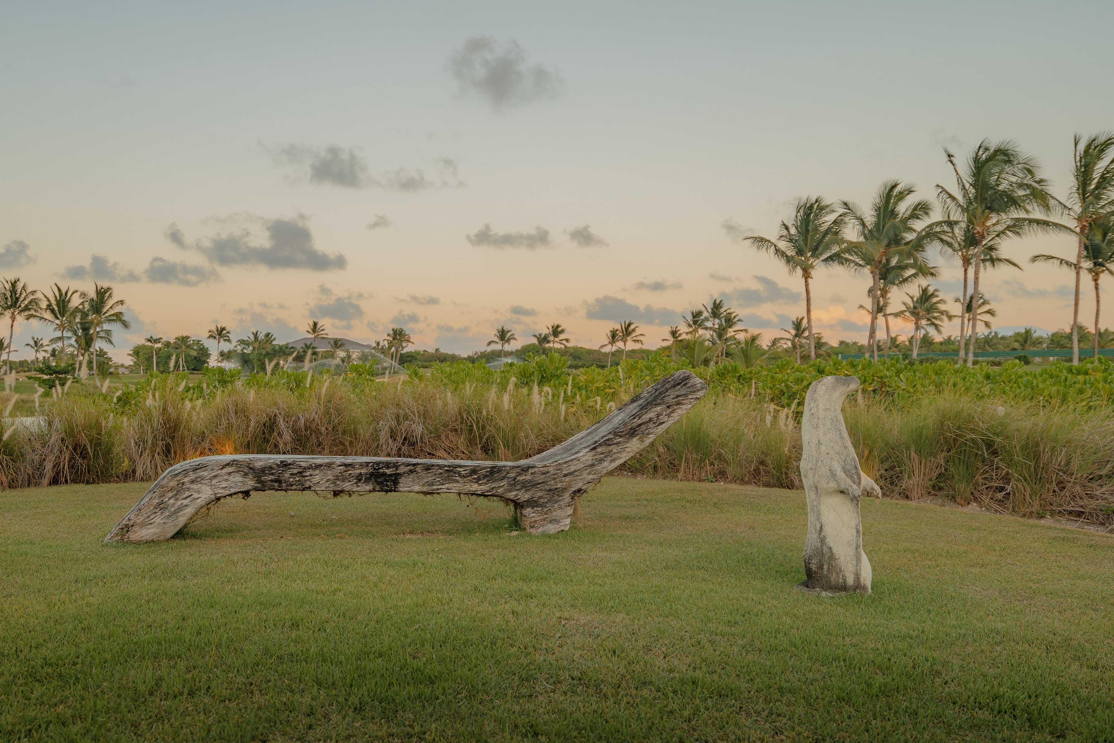 Corales Estate  - 37