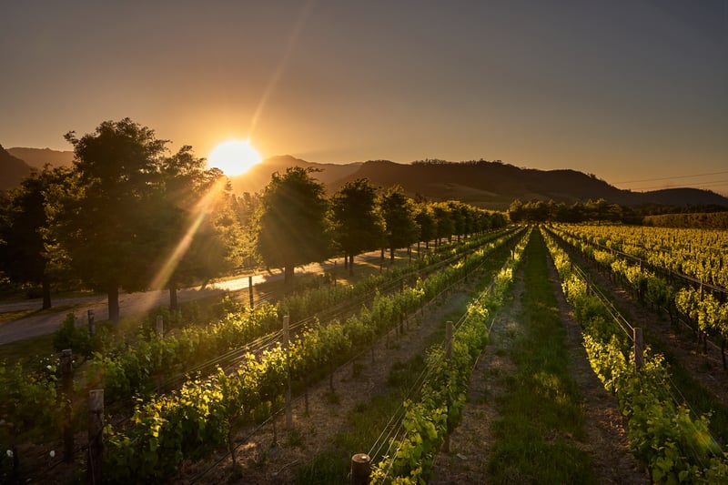 The Manor House at Colmant