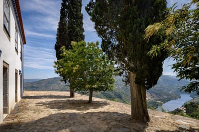 Luxury Villa Photo #16