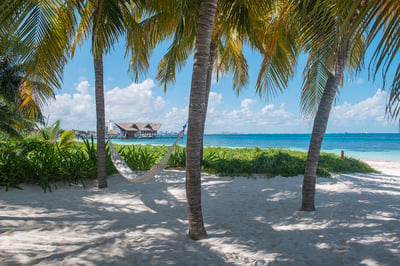 Luxury Villa Photo #11