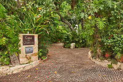 Luxury Villa Photo #42
