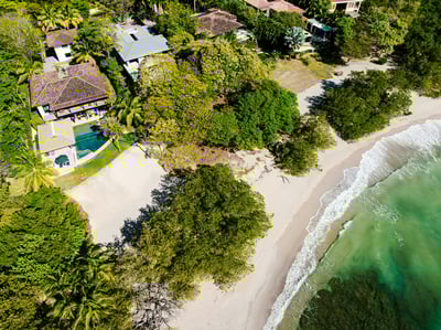 For the lucky ones, you might catch howler monkeys hanging out near the house.