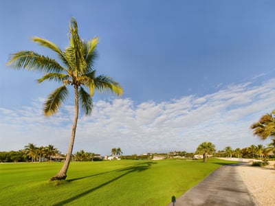 Luxury Villa Photo #7