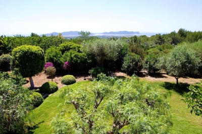 Luxury Villa Photo #43