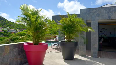 Luxury Villa Photo #16