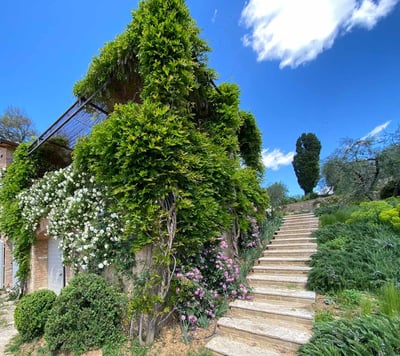 Luxury Villa Photo #37
