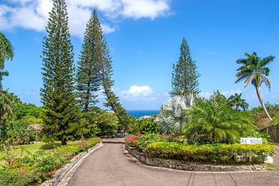 Luxury Villa Photo #3