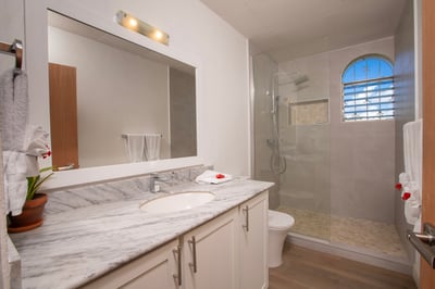 Luxury Villa Photo #15