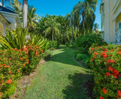 Luxury Villa Photo #10