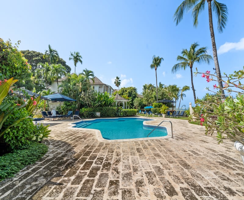 Emerald Beach 2 | Allamanda