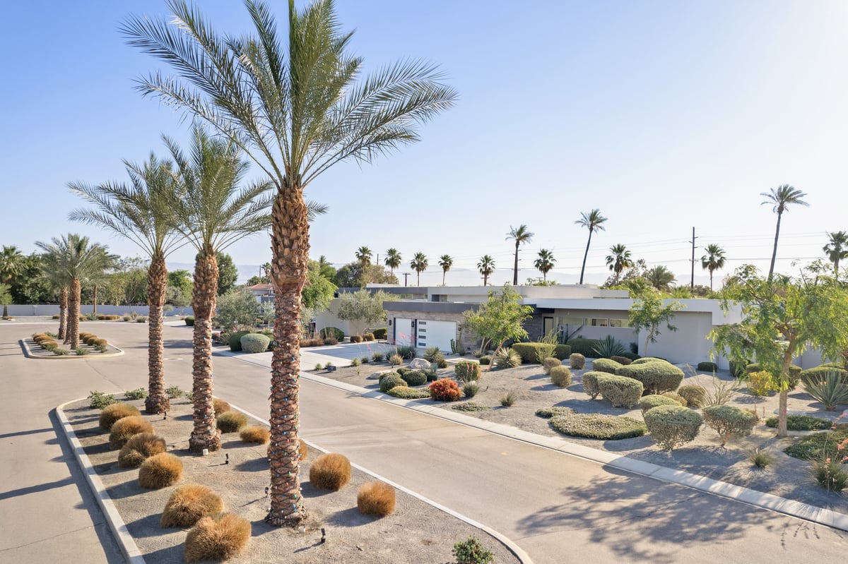 Green and Palm Oasis