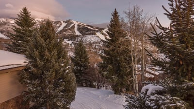 Glacier Lodge West - Mountain View