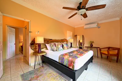 Luxury Villa Photo #26