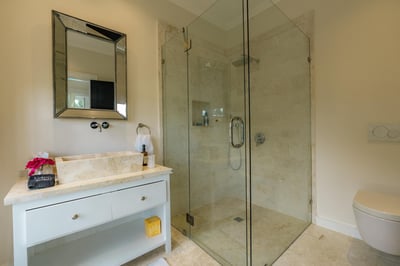 9BDR ocean view villa with full staff, golf carts, movie theater and gym