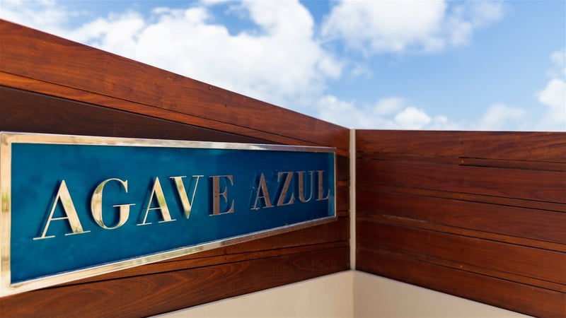 Agave Azul