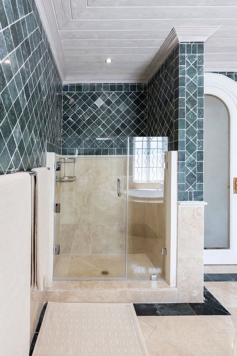 Old Trees 2 | Azzurro