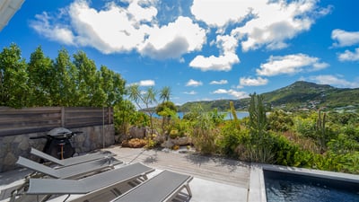 Pool & Terrace
