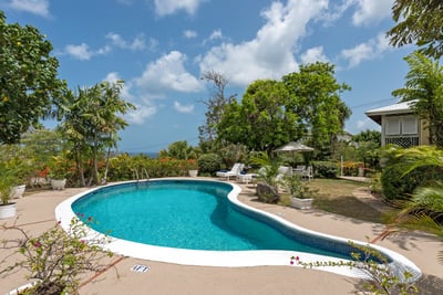 Luxury Villa Photo #3