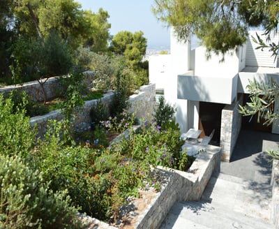 Luxury Villa Photo #49