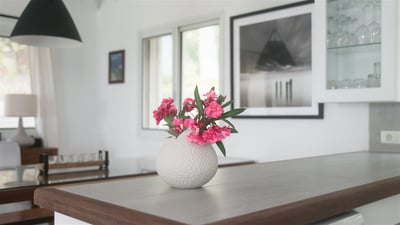 Dining Area & Kitchen