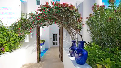 Luxury Villa Photo #38